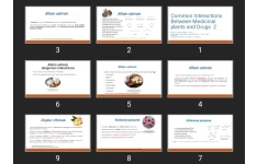 پاورپوینت Common Interactions Between Medicinal plants and Drugs  2