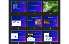 پاورپوینت عوامل شکست ترمیم های آمالگام