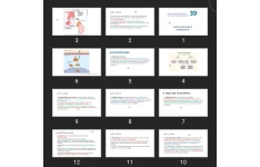پاورپوینت Corticosteroids & Antagonists