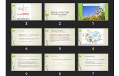 پاورپوینت Disorders of the Female Reproductive System