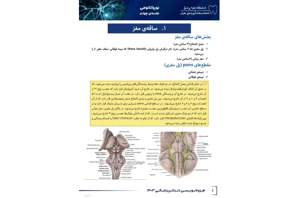 جزوه پل مغزی