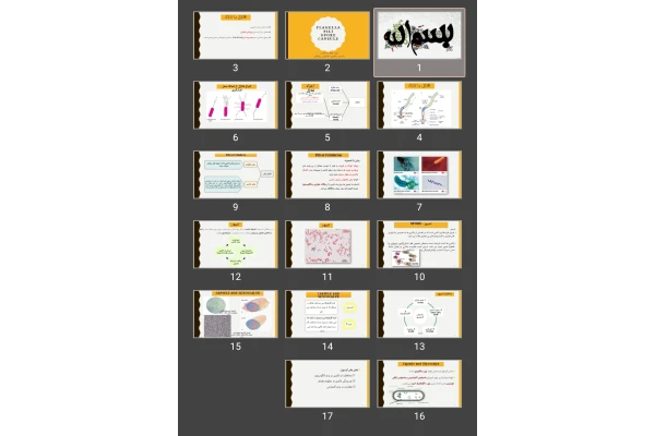 پاورپوینت Flagella pili spore capsule