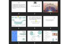 پاورپوینت كتوز و واكنش های درگير با آن