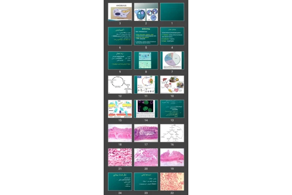 پاورپوینت Gl protozoa