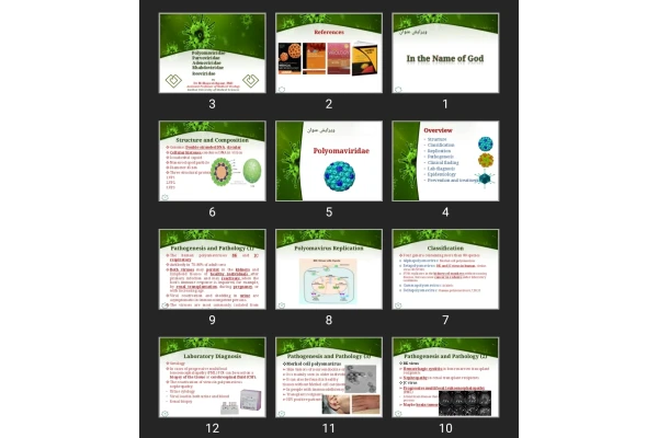 پاورپوینت Rhabdoviridae ، Reoviridae ، Adenoviridae ، Parvoviridae ، Polyomaviridae