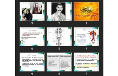 پاورپوینت Semiology