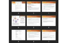 پاورپوینت Brucellosis