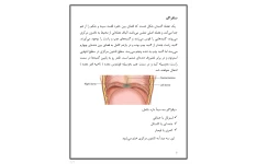 جزوه آناتومی تنفس دیافراگم