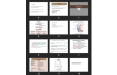 پاورپوینت Ascites