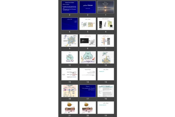 پاورپوینت سیناپس Synapse