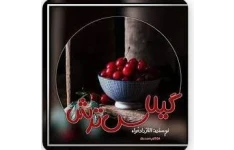 رمان گیلاس ترش