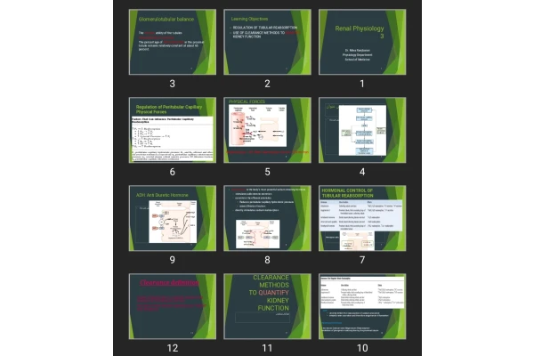 پاورپوینت Renal Physiology 3