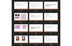 پاورپوینت SKELETAL MUSCLE TUMORS