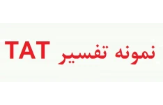 نمونه اجرا شده آزمون tat - نمونه تست tat (دو نمونه گزارش کار)