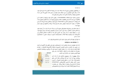 جزوه اپروچ به بیماری‌های روماتولوژی