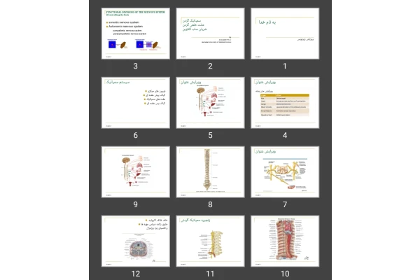 پاورپوینت سمپاتیک گردن ، مثلث خلفی گردن ، شریان ساب کلاوین