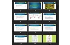 پاورپوینت Disorders of the Testes and Male Reproductive System