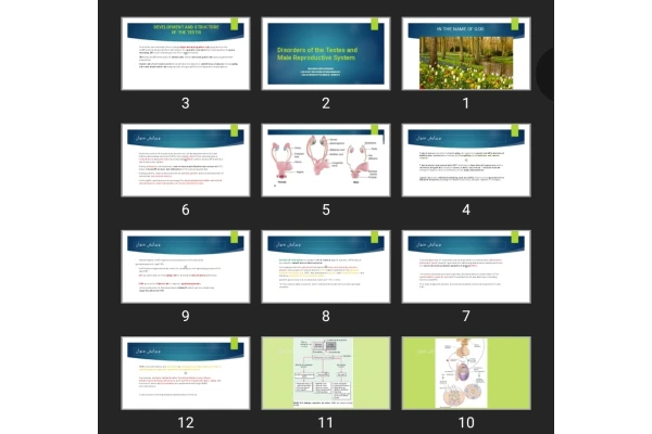 پاورپوینت Disorders of the Testes and Male Reproductive System
