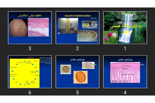 پاورپوینت Ascaris lumbricoides
