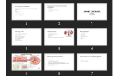 پاورپوینت Kidney disorder