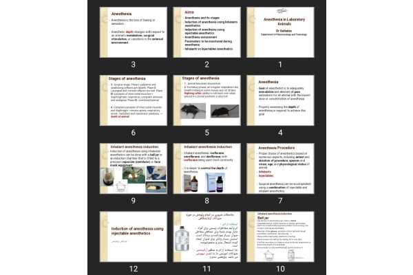 پاورپوینت Anesthesia in Laboratory Animals