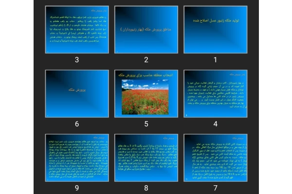 پاورپوینت توليد ملكه زنبور عسل اصلاح شده