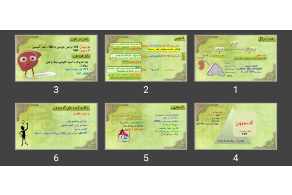 پاورپوینت غده آدرنال
