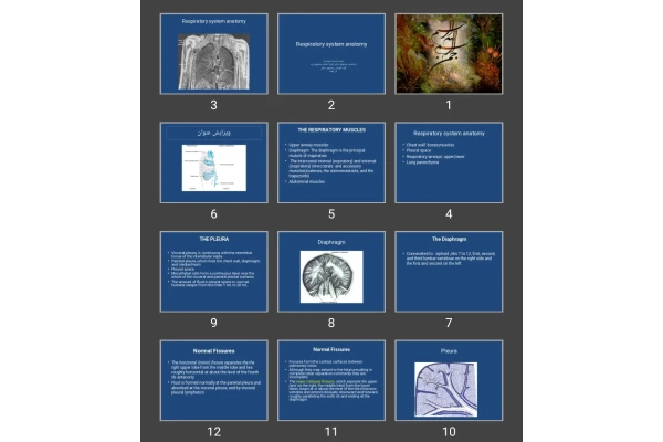 پاورپوینت Respiratory system anatomy