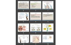 پاورپوینت Anti-Parkinson drugs