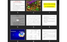 پاورپوینت مقدمه طبقه بندی و نامگذاری باکتری ها