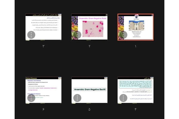 جزوه باکتری های گرم منفی بی هوازی Anaerobic Gram Negative Rods