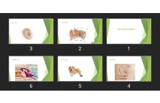 پاورپوینت Ear examination