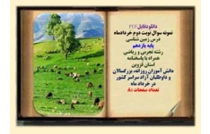 نمونه سوال نوبت دوم خردادماه  درس زمین شناسی پایه یازدهم رشته تجربی و ریاضی  همراه با پاسخنامه استان قزوین