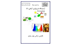 فیزلوژی گیاهی (جزوه) 🔬 نسخه کامل ✅