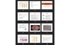 پاورپوینت General Pathology of Infectious Diseases