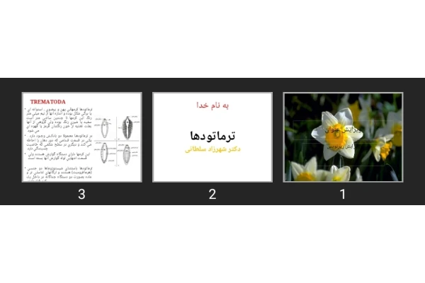 پاورپوینت ترماتودها
