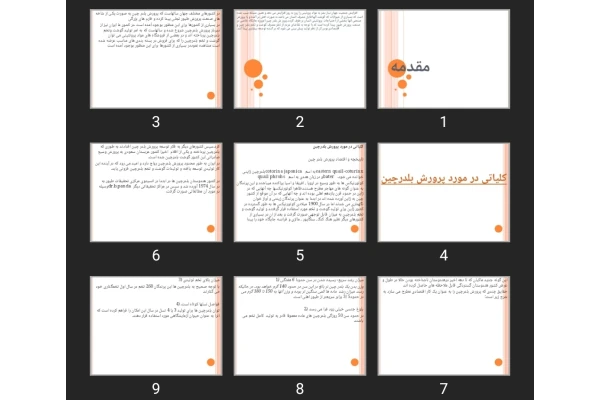 پاورپوینت بلدرچین