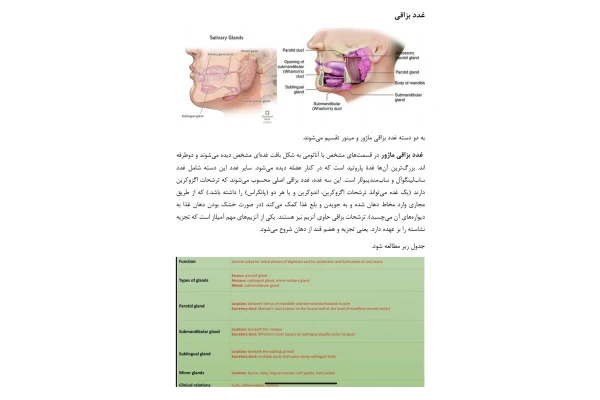جزوه بیماری های غدد بزاقی