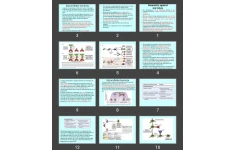 پاورپوینت Immunity against microbes