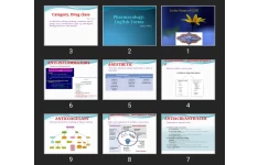 پاورپوینت Pharmacology: English Terms