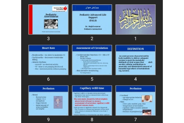 پاورپوینت Pediatric Advanced Life Support (PALS)