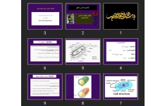 پاورپوینت باکتری شناسی نظری
