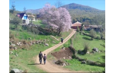 Ako û Xezîneya Bapîrê(نسخه کرمانجی کتاب آکو و گنج پدربزرگ)