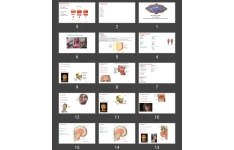 پاورپوینت Muscular system