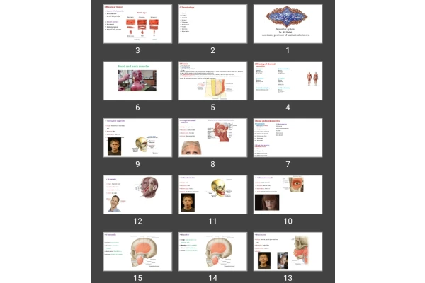 پاورپوینت Muscular system