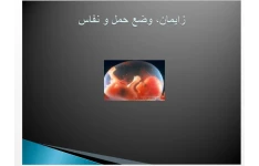   پاورپوینت زايمان ، وضع حمل و نفاس
