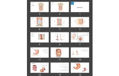 پاورپوینت Digestive system