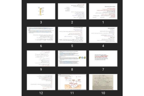 پاورپوینت متابولیزم استخوانی