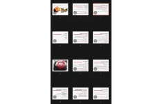 جزوه آسیب دیدگی های سر