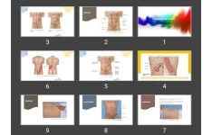 پاورپوینت Abdominal exam